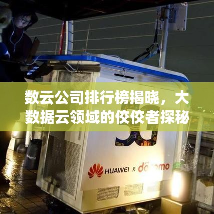 數(shù)云公司排行榜揭曉，大數(shù)據(jù)云領(lǐng)域的佼佼者探秘