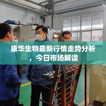 康華生物最新行情走勢分析，今日市場解讀