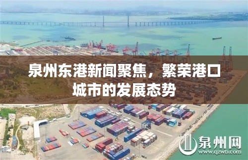 泉州東港新聞聚焦，繁榮港口城市的發(fā)展態(tài)勢
