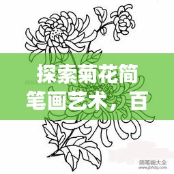 探索菊花簡筆畫藝術(shù)，百度上的創(chuàng)意手繪之旅