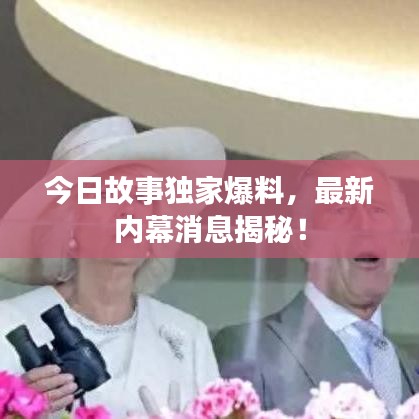 今日故事獨(dú)家爆料，最新內(nèi)幕消息揭秘！