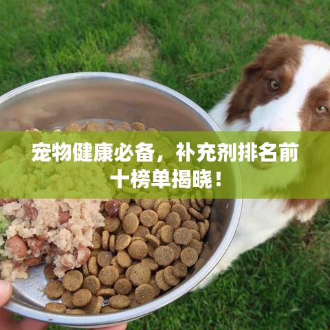寵物健康必備，補(bǔ)充劑排名前十榜單揭曉！