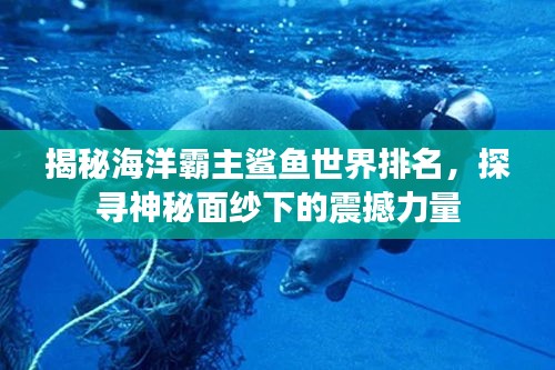 揭秘海洋霸主鯊魚世界排名，探尋神秘面紗下的震撼力量
