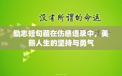 勵志短句藏在傷感語錄中，美麗人生的堅持與勇氣