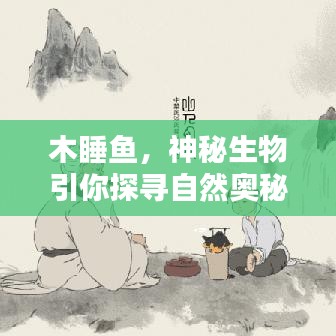 木睡魚，神秘生物引你探尋自然奧秘